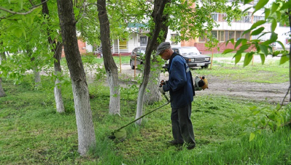 Управляющие компании организовали работы по покосу травы