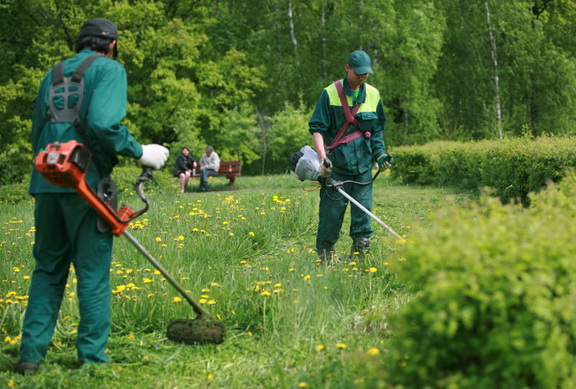 Пришло время покоса травы на городских газонах