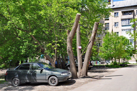 Во дворе МКД выполнена опиловка деревьев