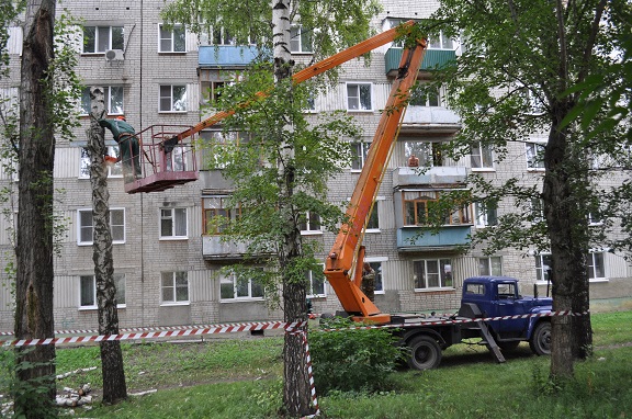Специалисты спилили аварийное дерево