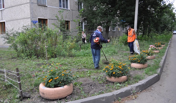 На придомовых территориях скосили траву