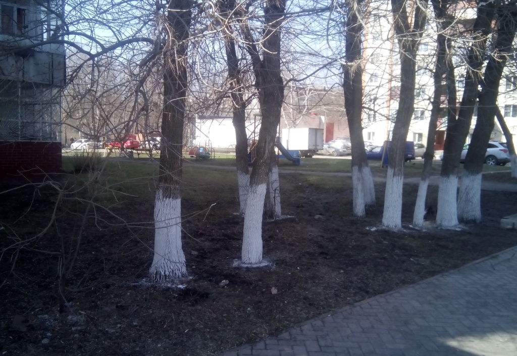 335 Ж-12.jpg 335 Ж-12.jpg