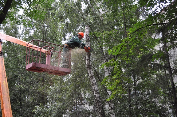 086 - сайт.JPG 086 - сайт.JPG