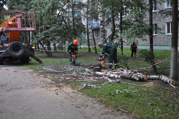 094 - сайт.JPG 094 - сайт.JPG