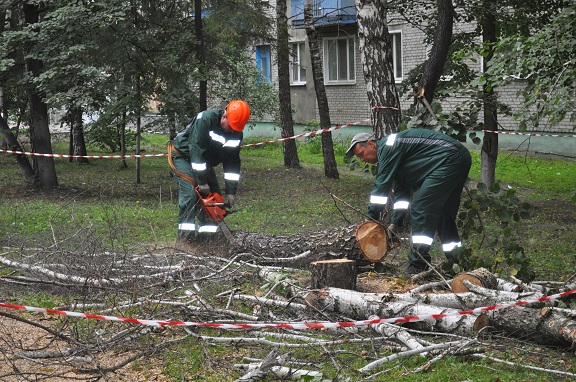 095 - сайт.JPG 095 - сайт.JPG