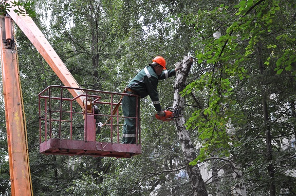 092 - сайт.JPG 092 - сайт.JPG